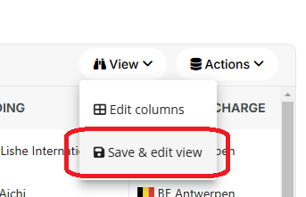 Save &amp; Edit View